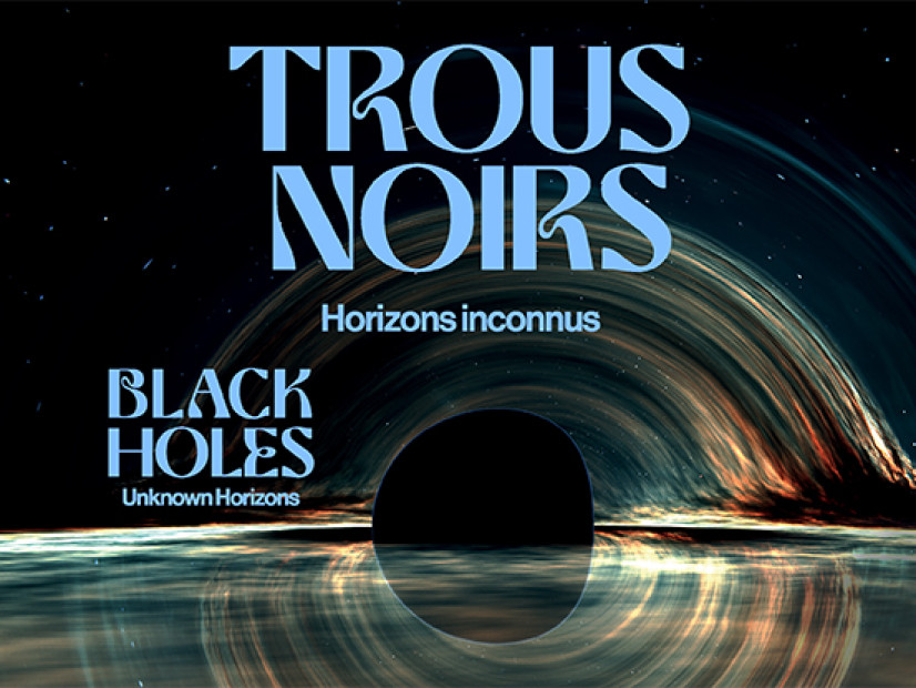 Black Holes: Unknown Horizons